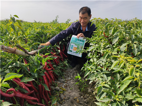 水溶肥，翠姆，拉姆拉