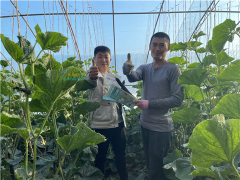 水溶肥，翠姆，拉姆拉