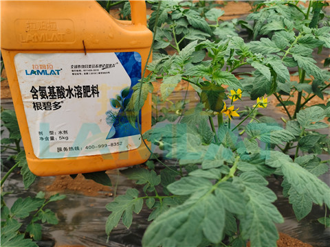 水溶肥，翠姆，拉姆拉