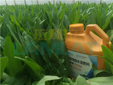 水溶肥，翠姆，拉姆拉