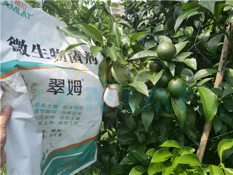 微生物菌劑，翠姆，拉姆拉