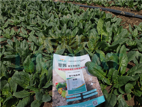 水溶肥，翠姆，拉姆拉