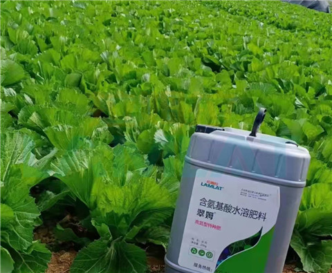 水溶肥，翠姆，拉姆拉