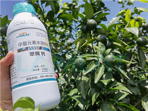 水溶肥，拉姆拉，翠姆