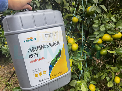 水溶肥，拉姆拉，翠姆