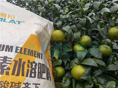 水溶肥，拉姆拉，翠姆