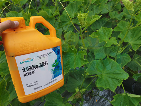 水溶肥，拉姆拉，翠姆