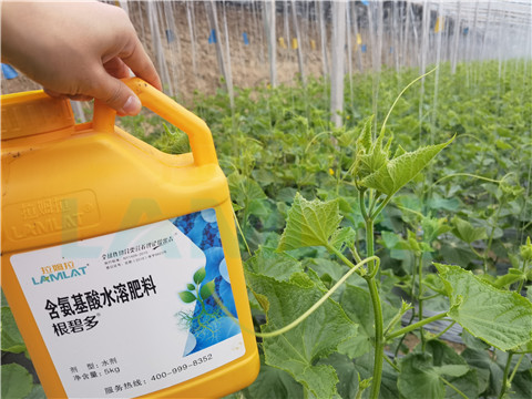 生根劑，拉姆拉，翠姆