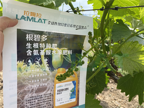 水溶肥，拉姆拉，翠姆