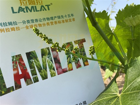 水溶肥，拉姆拉，翠姆