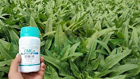 水溶肥，拉姆拉，翠姆