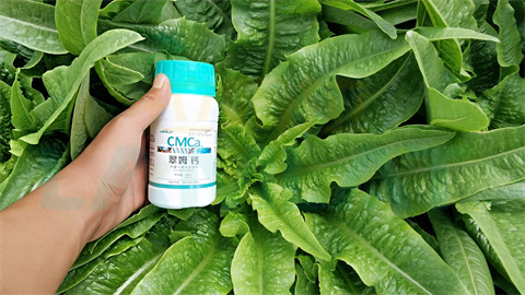 水溶肥，拉姆拉，翠姆