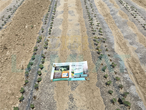 水溶肥，拉姆拉，翠姆