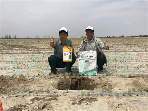 水溶肥，拉姆拉，翠姆