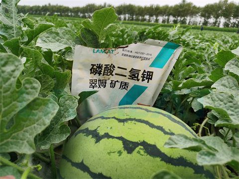 水溶肥，拉姆拉，翠姆