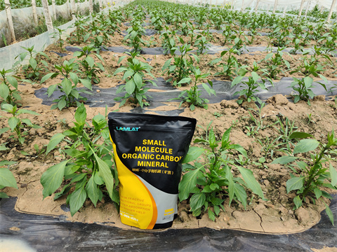 微生物菌劑,翠姆,拉姆拉 微生物菌劑,翠姆,拉姆拉