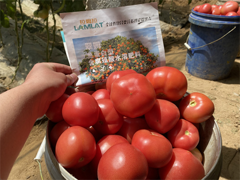 水溶肥廠家,翠姆,水溶肥品牌 水溶肥廠家,翠姆,水溶肥品牌