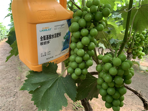 水溶肥,翠姆,葡萄水溶肥 水溶肥,翠姆,葡萄水溶肥