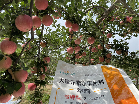 水溶肥廠家,翠姆,蘋果種植 水溶肥廠家,翠姆,蘋果種植