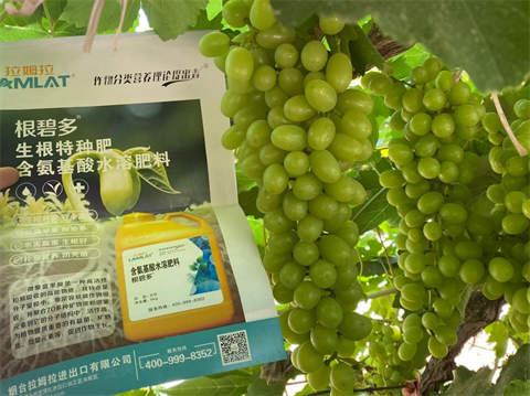 水溶肥,翠姆,葡萄水溶肥 水溶肥,翠姆,葡萄水溶肥