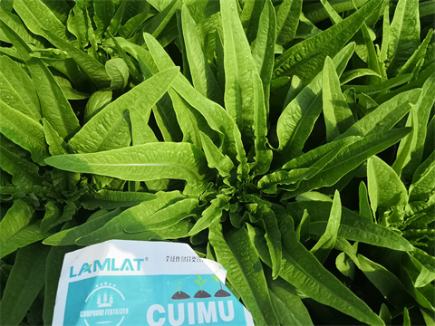 水溶肥,翠姆,拉姆拉 水溶肥,翠姆,拉姆拉