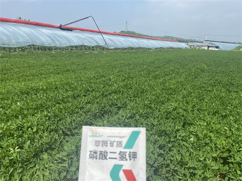 水溶肥,翠姆,花生水溶肥 水溶肥,翠姆,花生水溶肥