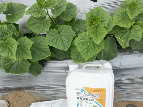 水溶肥,翠姆,拉姆拉 水溶肥,翠姆,拉姆拉