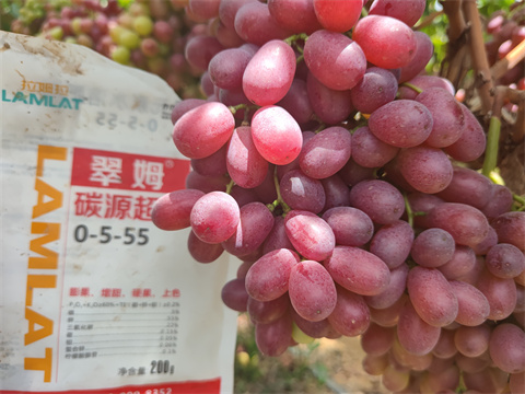 水溶肥,翠姆,葡萄水溶肥 水溶肥,翠姆,葡萄水溶肥