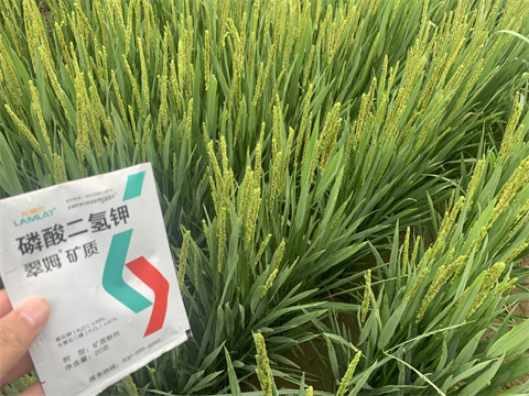 水溶肥,翠姆,拉姆拉 水溶肥,翠姆,拉姆拉