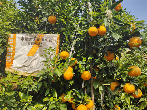 水溶肥,翠姆,柑橘水溶肥 水溶肥,翠姆,柑橘水溶肥