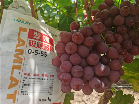 水溶肥廠家,翠姆,葡萄水溶肥 水溶肥廠家,翠姆,葡萄水溶肥