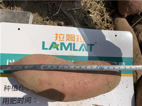 水溶肥廠家,翠姆,拉姆拉 水溶肥廠家,翠姆,拉姆拉