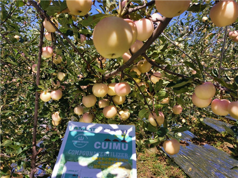 水溶肥,翠姆,拉姆拉 水溶肥,翠姆,拉姆拉