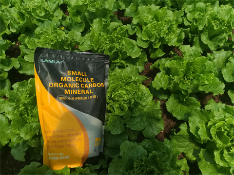 水溶肥,翠姆，蔬菜水溶肥