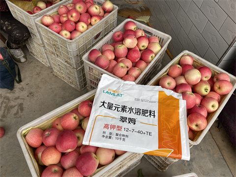 水溶肥品牌,翠姆,蘋果種植 水溶肥品牌,翠姆,蘋果種植